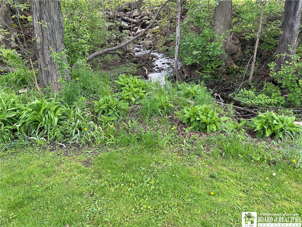 6 Water Street Hanover, NY 14062 - Photo 14 of 36