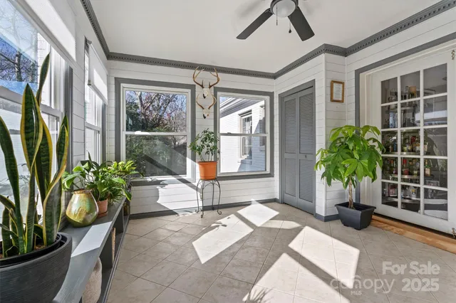 a living room filled with furniture and a potted plant