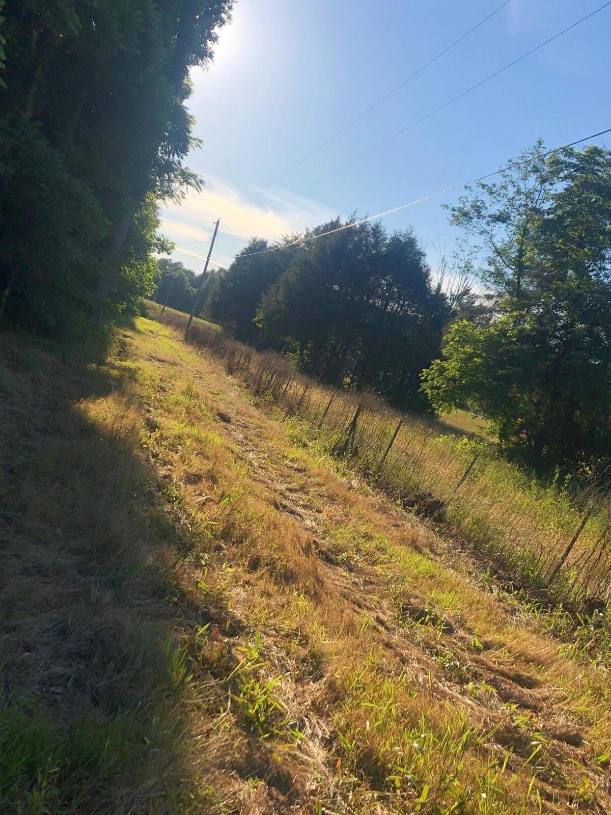 3051 Price Valley Road Somerset, KY 42501 - Photo 23 of 30 20210624155320275098000000-o