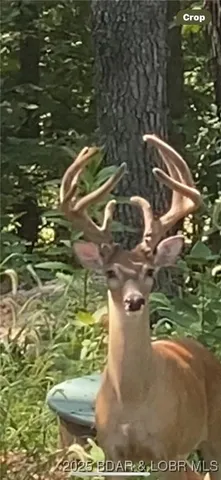 $279,000 | 82 Legacy Lane South, Sunrise Beach, MO 65079