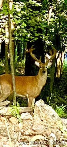 $279,000 | 82 Legacy Lane South, Sunrise Beach, MO 65079