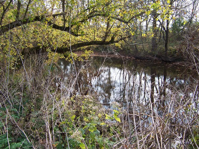 2382 Union Mill Road Nicholasville, KY 40356 - Photo 27 of 39 Photo 27