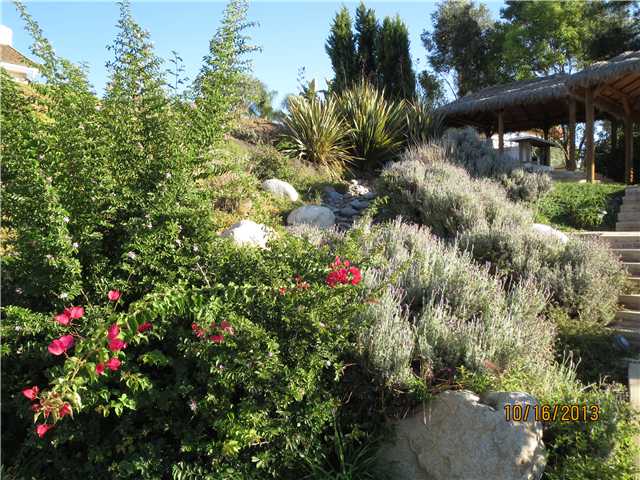 4221 Fallsbrae Road Fallbrook, CA 92028 - Photo 21 of 21 Beautiful landscape surrounds incredible waterfall.