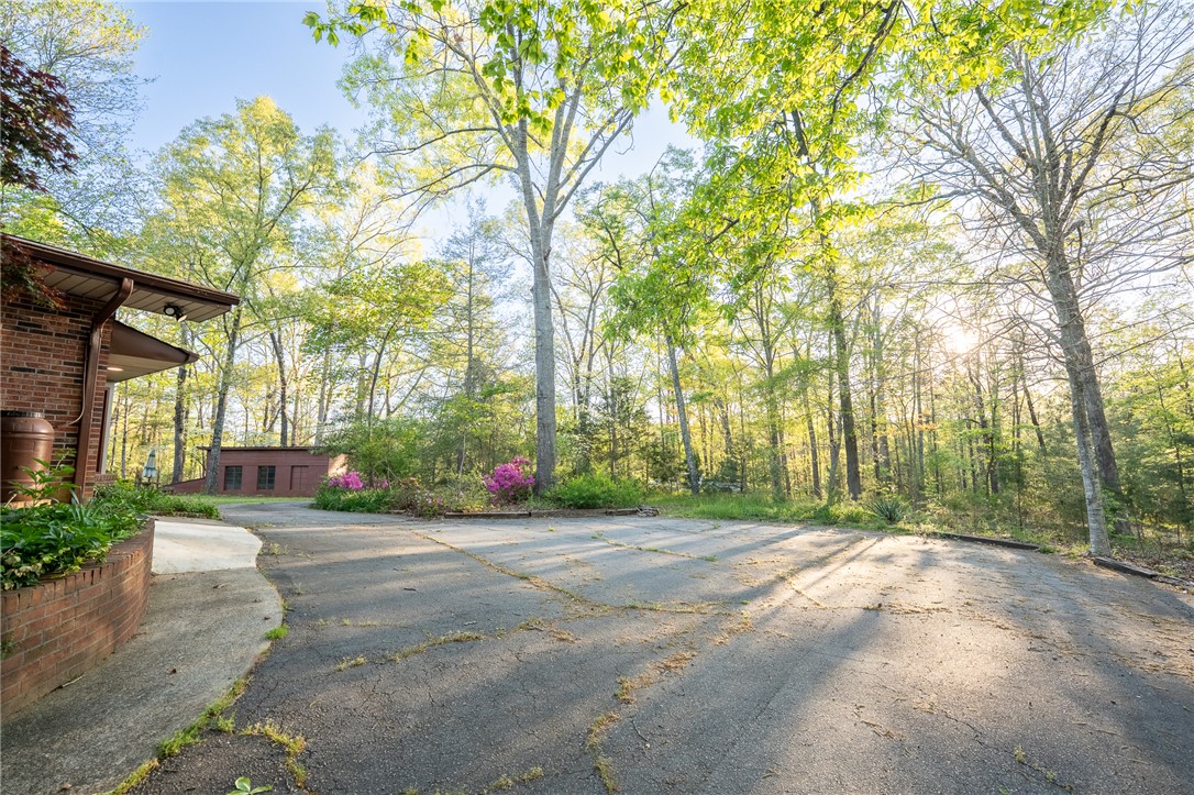 139 Todds Creek Road Central, SC 29630 - Photo 31 of 45 Mature trees frame a private driveway leading to this charming residence nestled in nature.