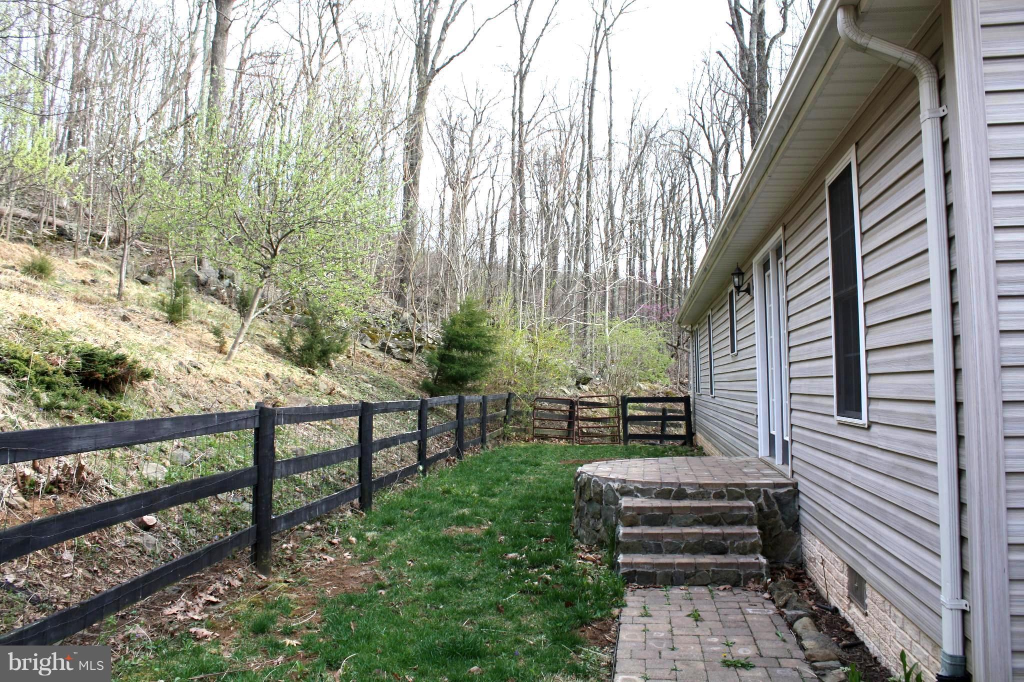 890 Wilderness Road Linden, VA 22642 - Photo 15 of 27 Exterior (Rear)