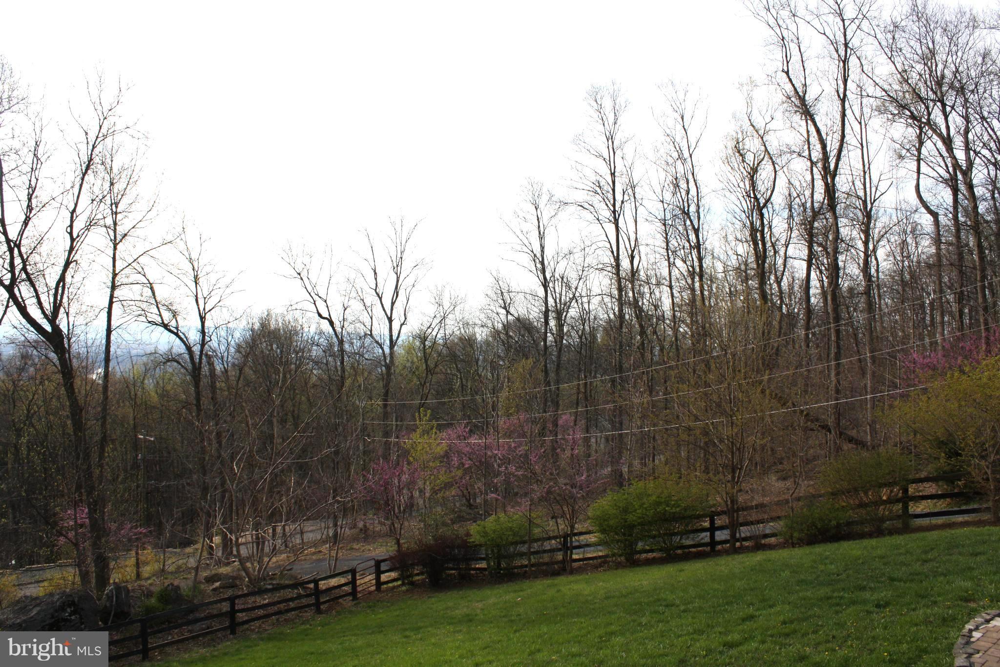 890 Wilderness Road Linden, VA 22642 - Photo 17 of 27 View