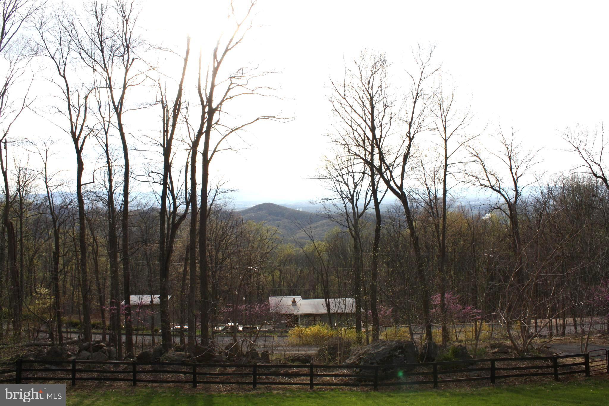 890 Wilderness Road Linden, VA 22642 - Photo 18 of 27 View