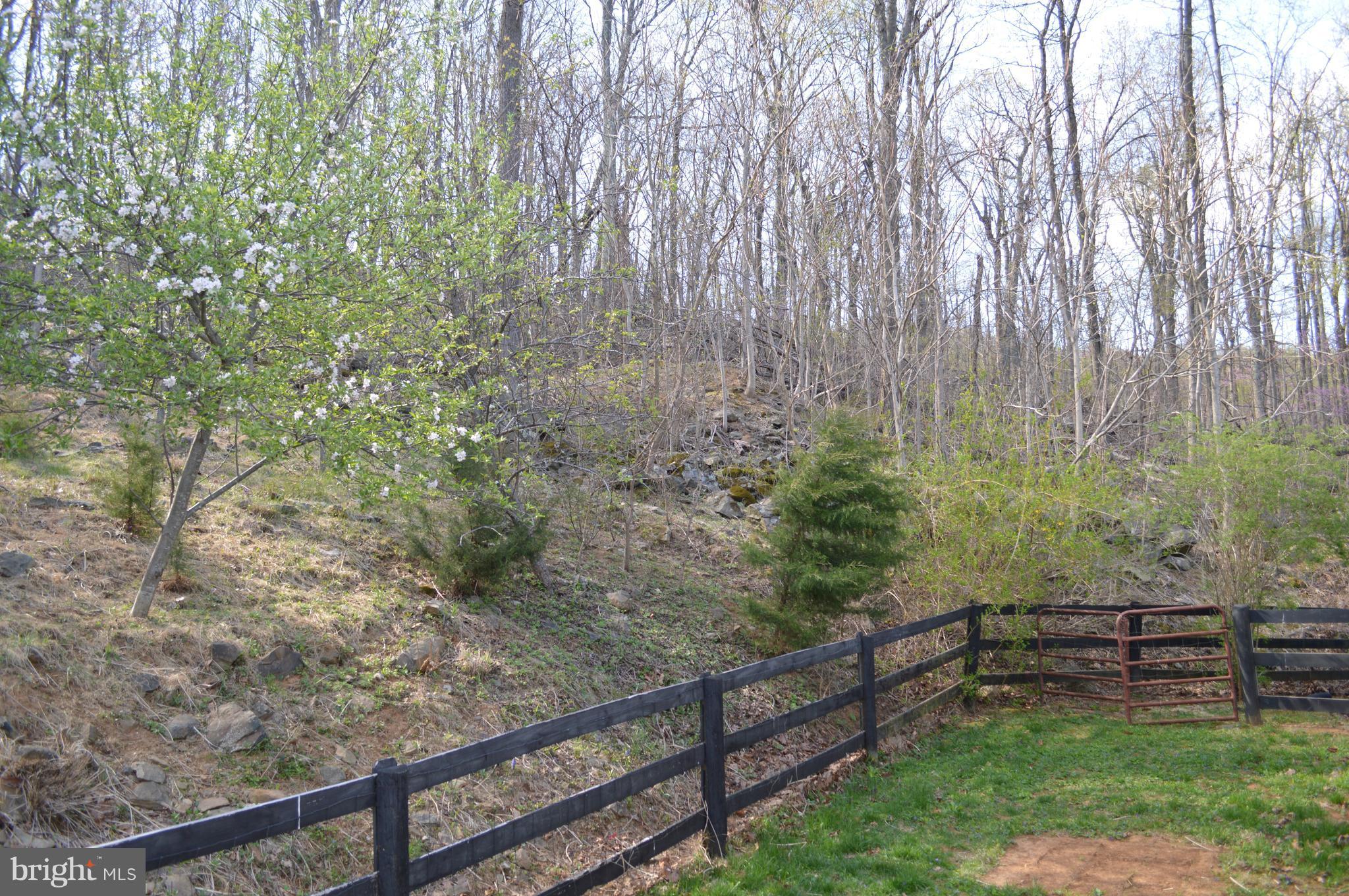 890 Wilderness Road Linden, VA 22642 - Photo 20 of 27 Exterior (General)