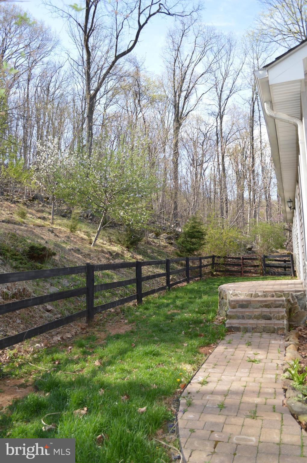 890 Wilderness Road Linden, VA 22642 - Photo 21 of 27 Exterior (General)