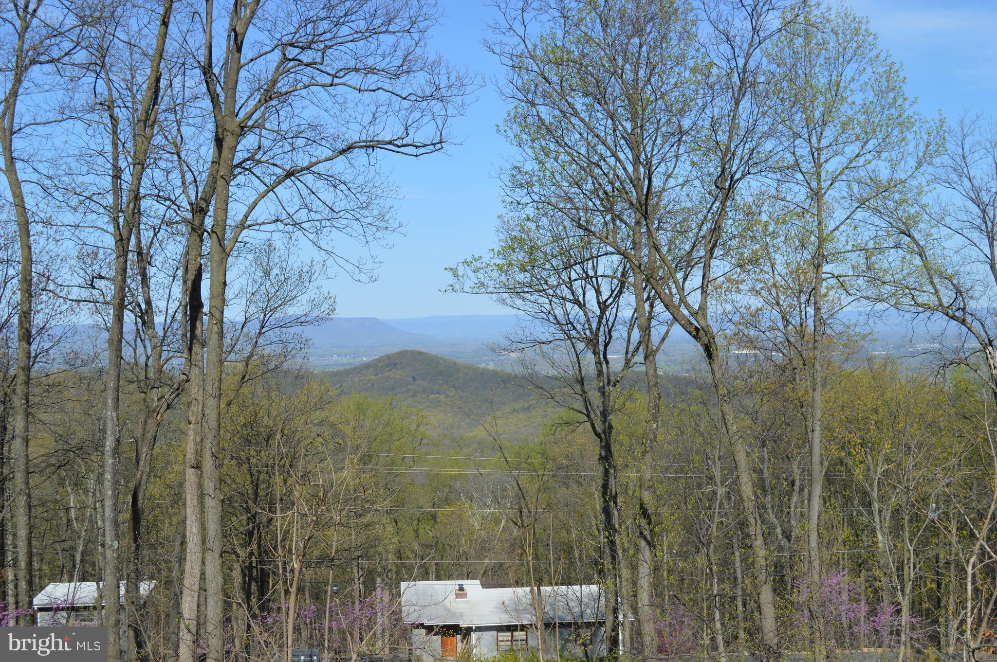 890 Wilderness Road Linden, VA 22642 - Photo 23 of 27 View