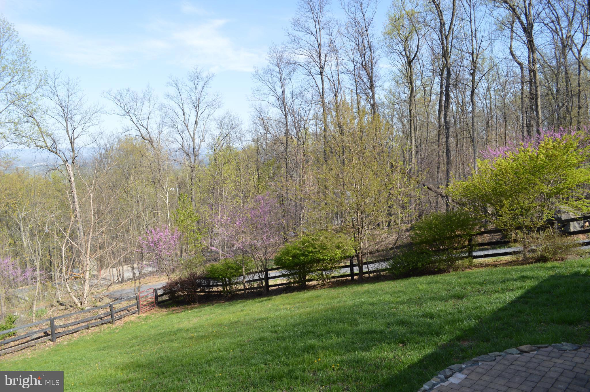 890 Wilderness Road Linden, VA 22642 - Photo 25 of 27 Exterior (General)