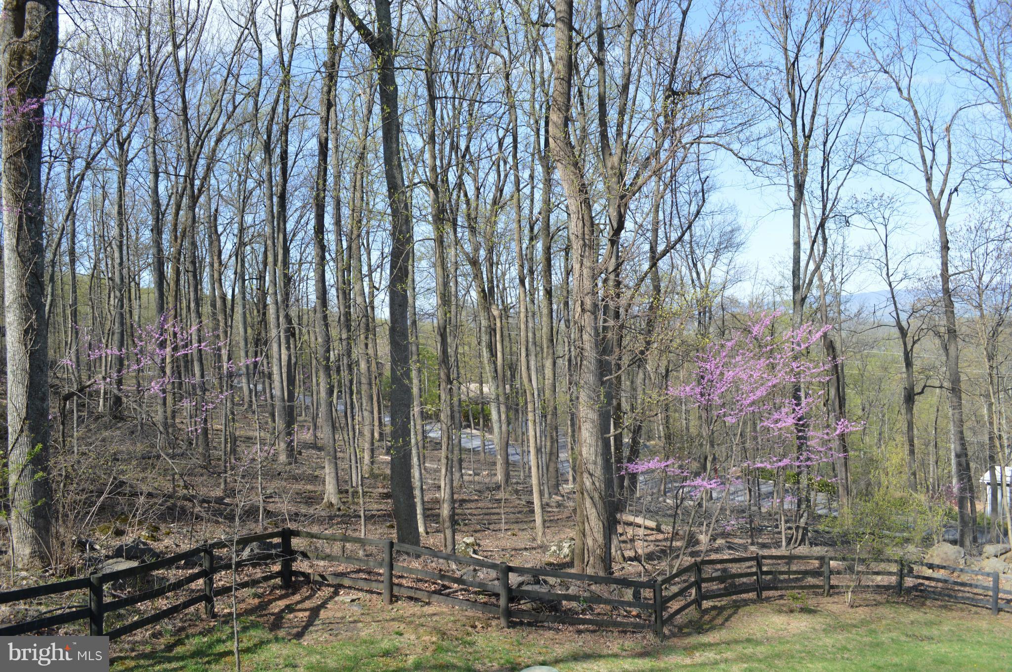 890 Wilderness Road Linden, VA 22642 - Photo 26 of 27 Exterior (General)