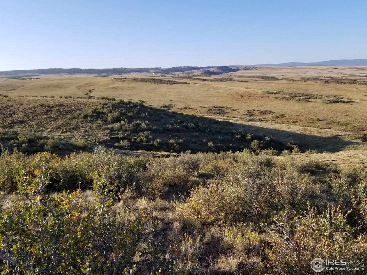 5520 Running Water Ranch Road Red Feather Lakes, CO 80545 - Photo 16 of 23 Gallery Image 16