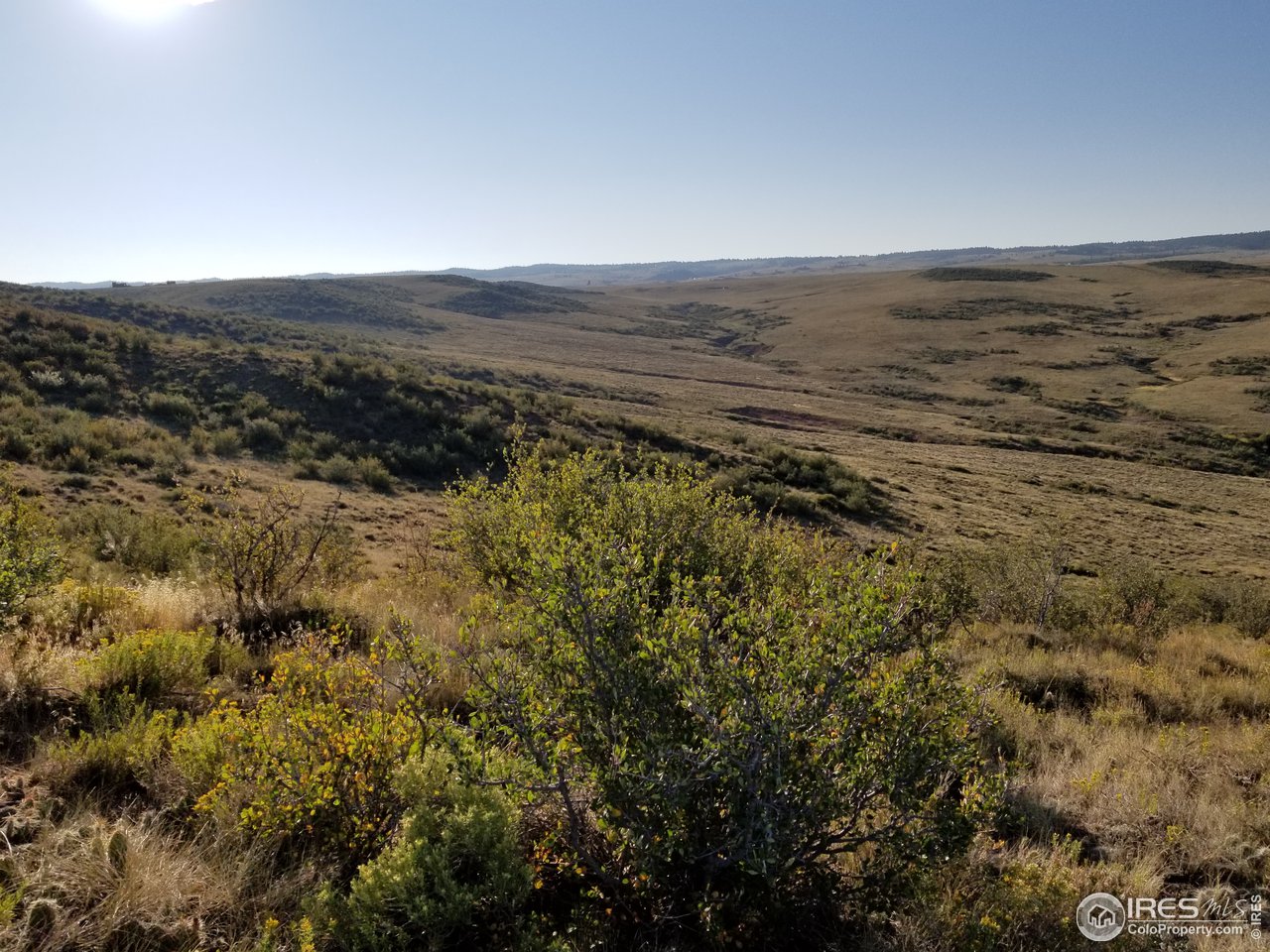 5520 Running Water Ranch Road Red Feather Lakes, CO 80545 - Photo 17 of 23 Gallery Image 17