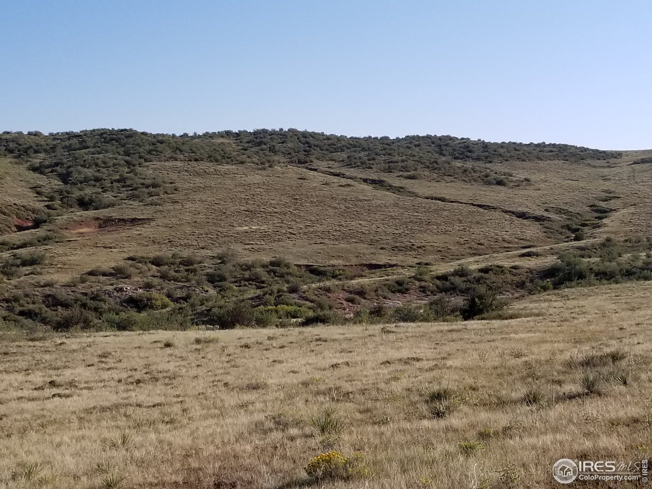 5520 Running Water Ranch Road Red Feather Lakes, CO 80545 - Photo 18 of 23 Gallery Image 18