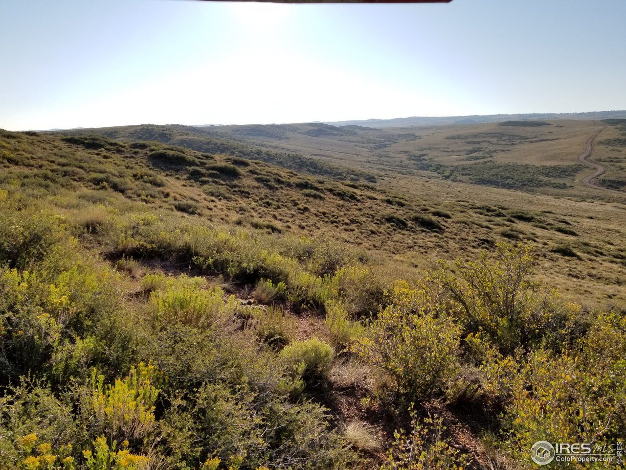 5520 Running Water Ranch Road Red Feather Lakes, CO 80545 - Photo 20 of 23 Gallery Image 20