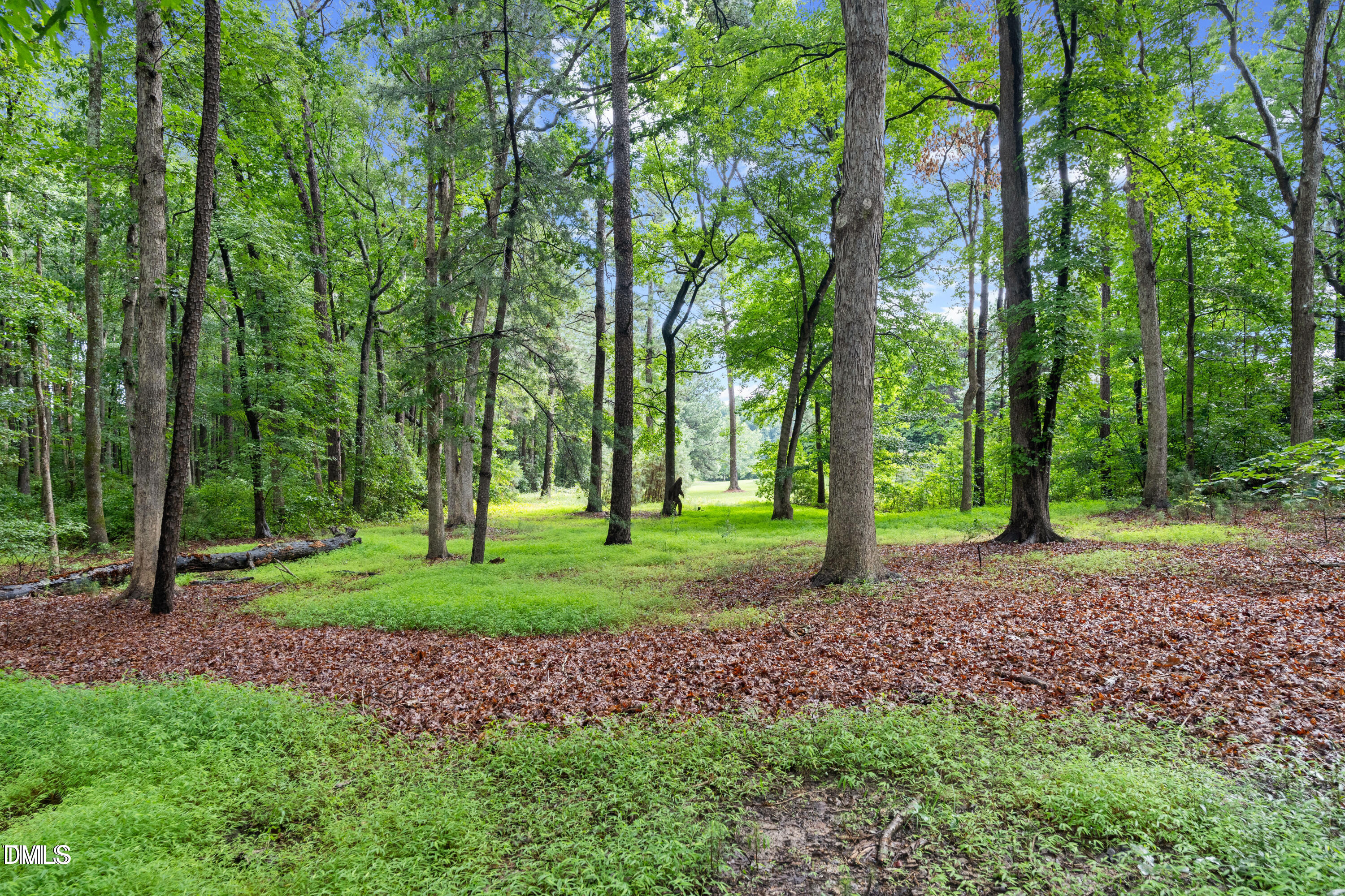 3117 Ten-Ten Road Apex, NC 27539 - Photo 7 of 11 20250717025814096498000000-o