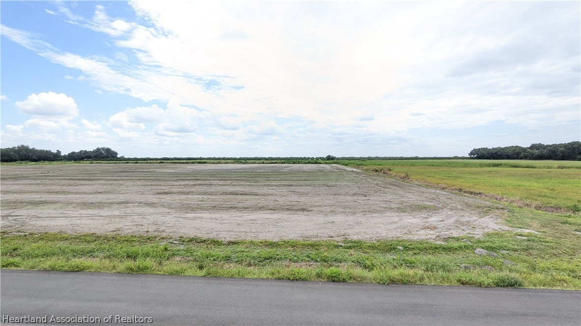 Broadus Williams Road Zolfo Springs, FL 33890 - Photo 3 of 4