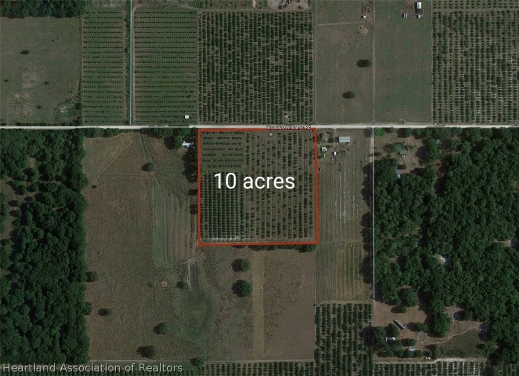 Broadus Williams Road Zolfo Springs, FL 33890 - Photo 4 of 4
