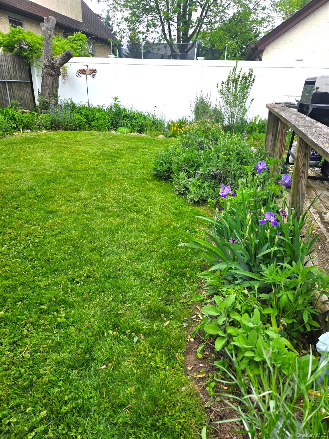 80 Dobson Avenue Merrick, NY 11566 - Photo 5 of 21 a backyard of a house with lots of green space