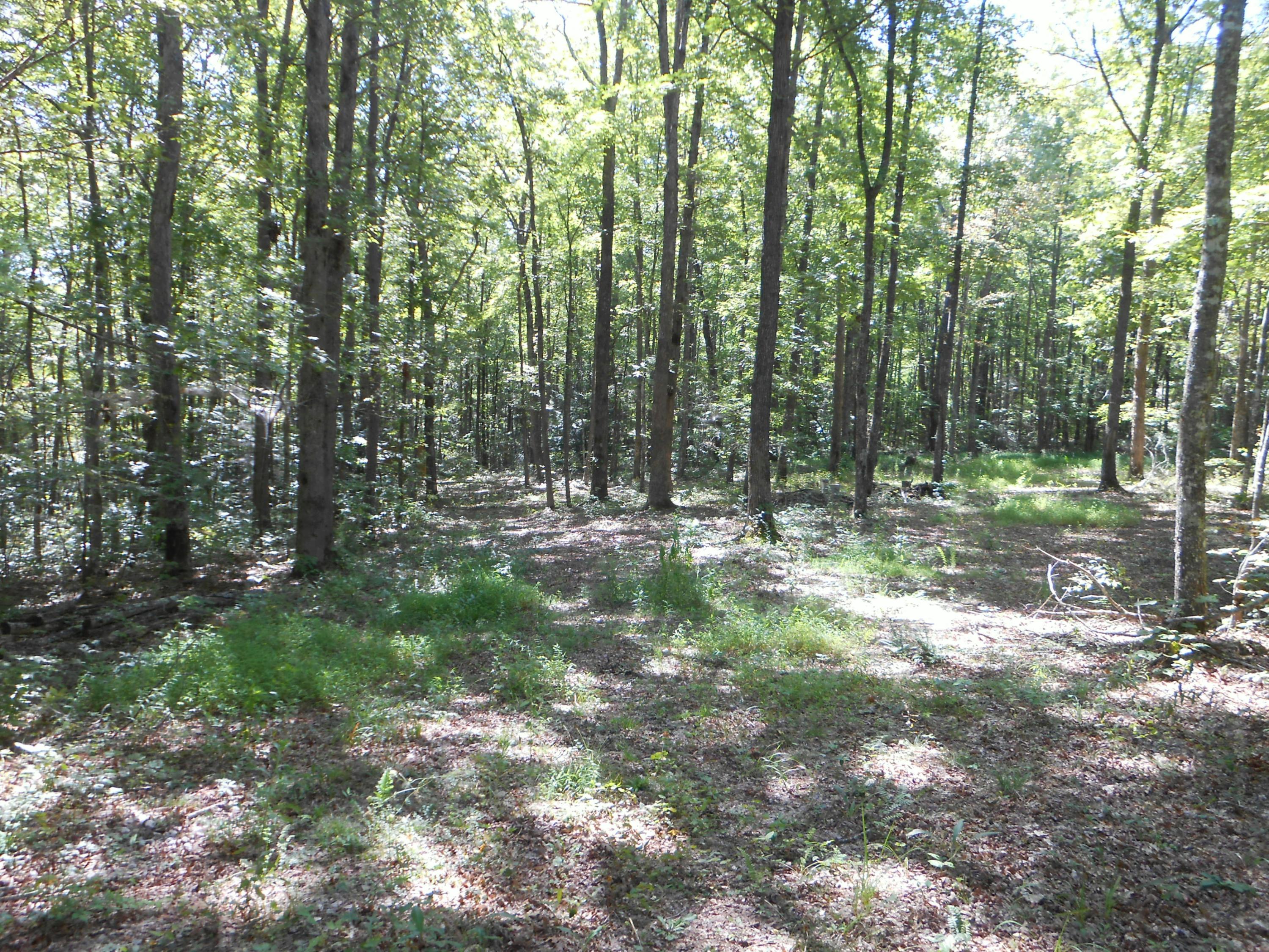 2-acres Copley Cemetery Road Jamestown, TN 38556 - Photo 11 of 40 DSCN9418
