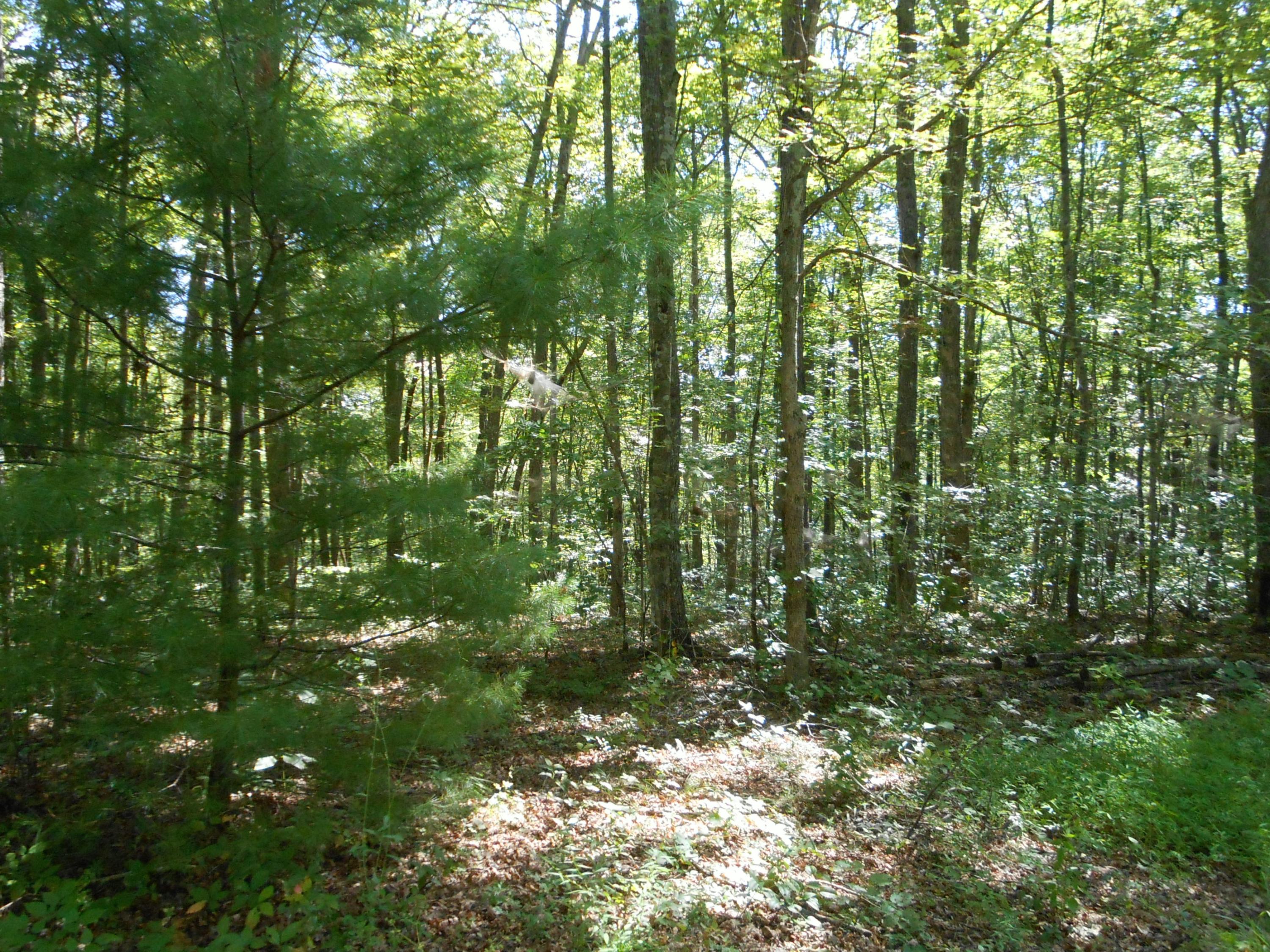 2-acres Copley Cemetery Road Jamestown, TN 38556 - Photo 12 of 40 DSCN9419