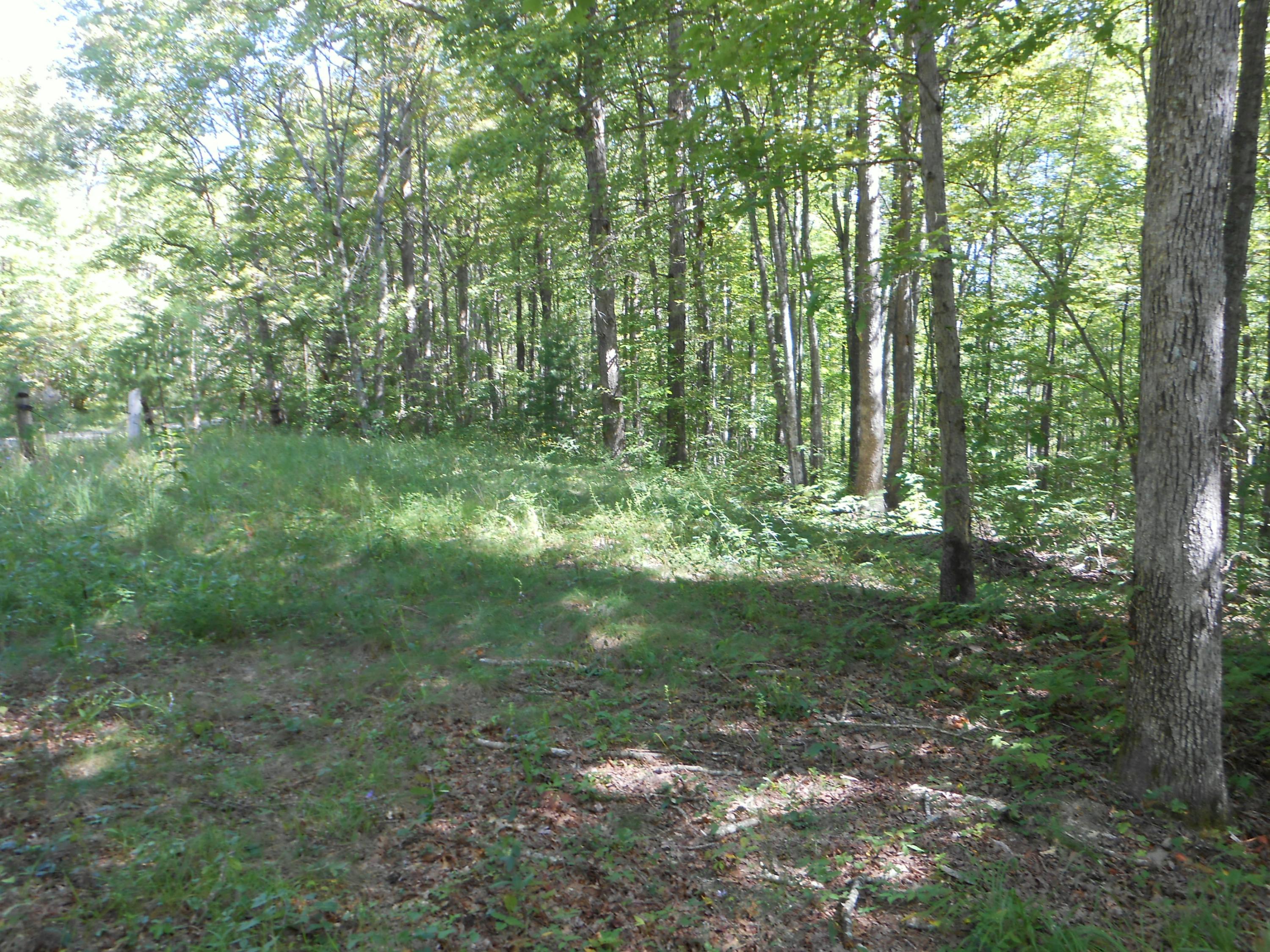 2-acres Copley Cemetery Road Jamestown, TN 38556 - Photo 13 of 40 DSCN9420