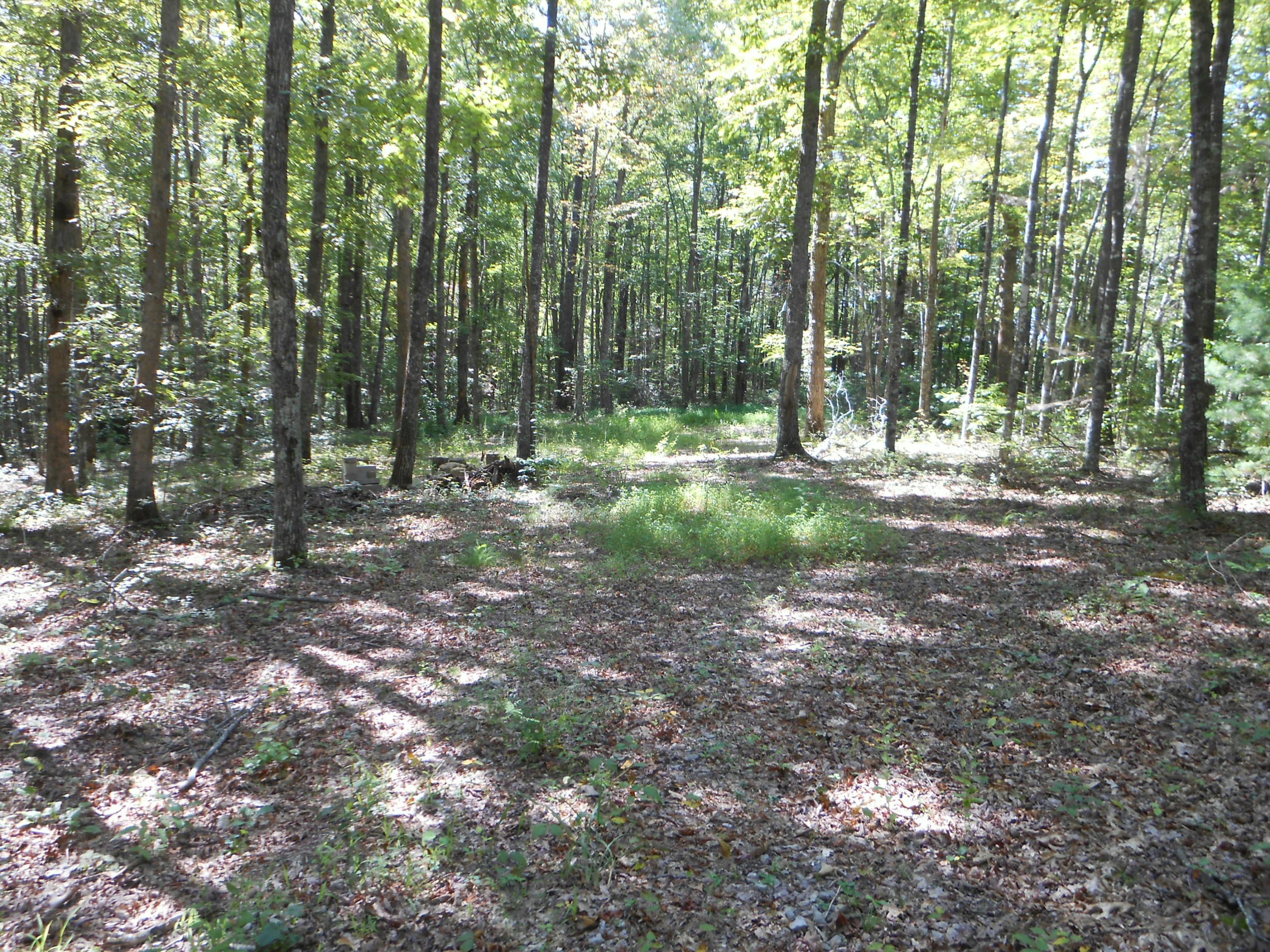 2-acres Copley Cemetery Road Jamestown, TN 38556 - Photo 14 of 40 DSCN9421