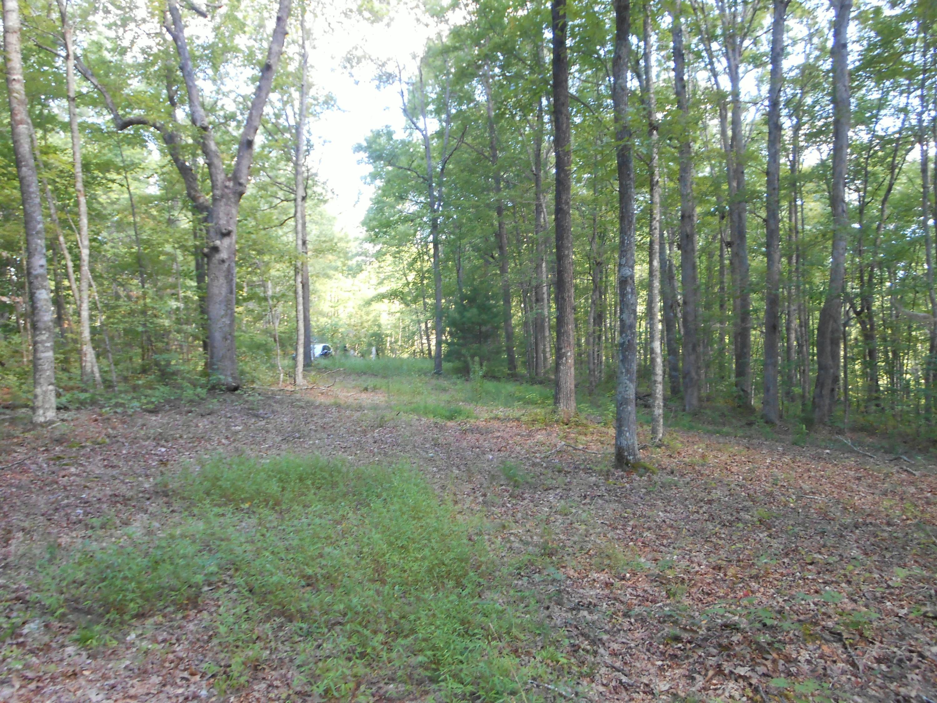 2-acres Copley Cemetery Road Jamestown, TN 38556 - Photo 16 of 40 DSCN9423