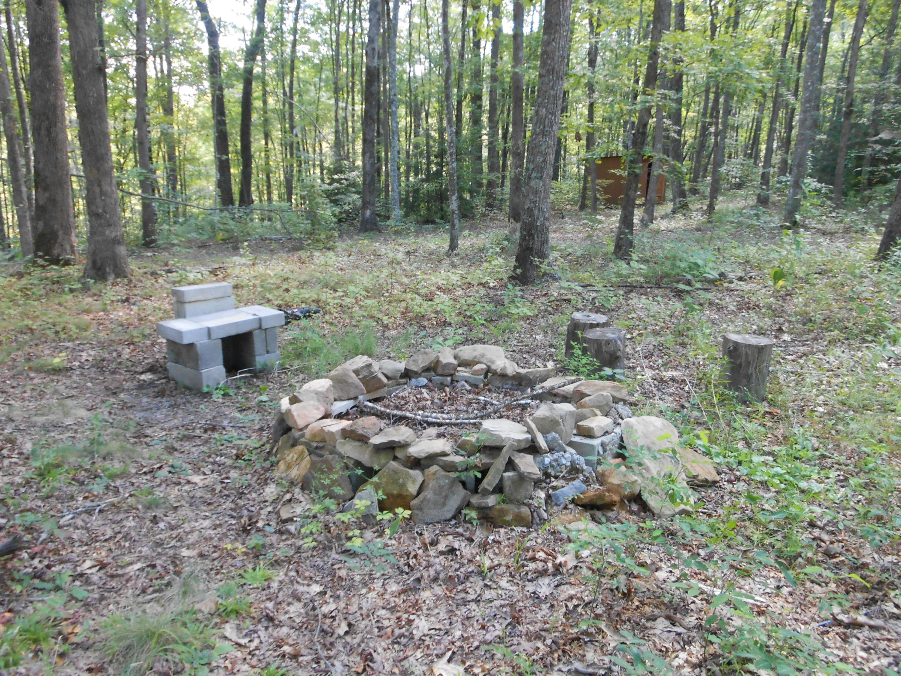 2-acres Copley Cemetery Road Jamestown, TN 38556 - Photo 17 of 40 DSCN9424