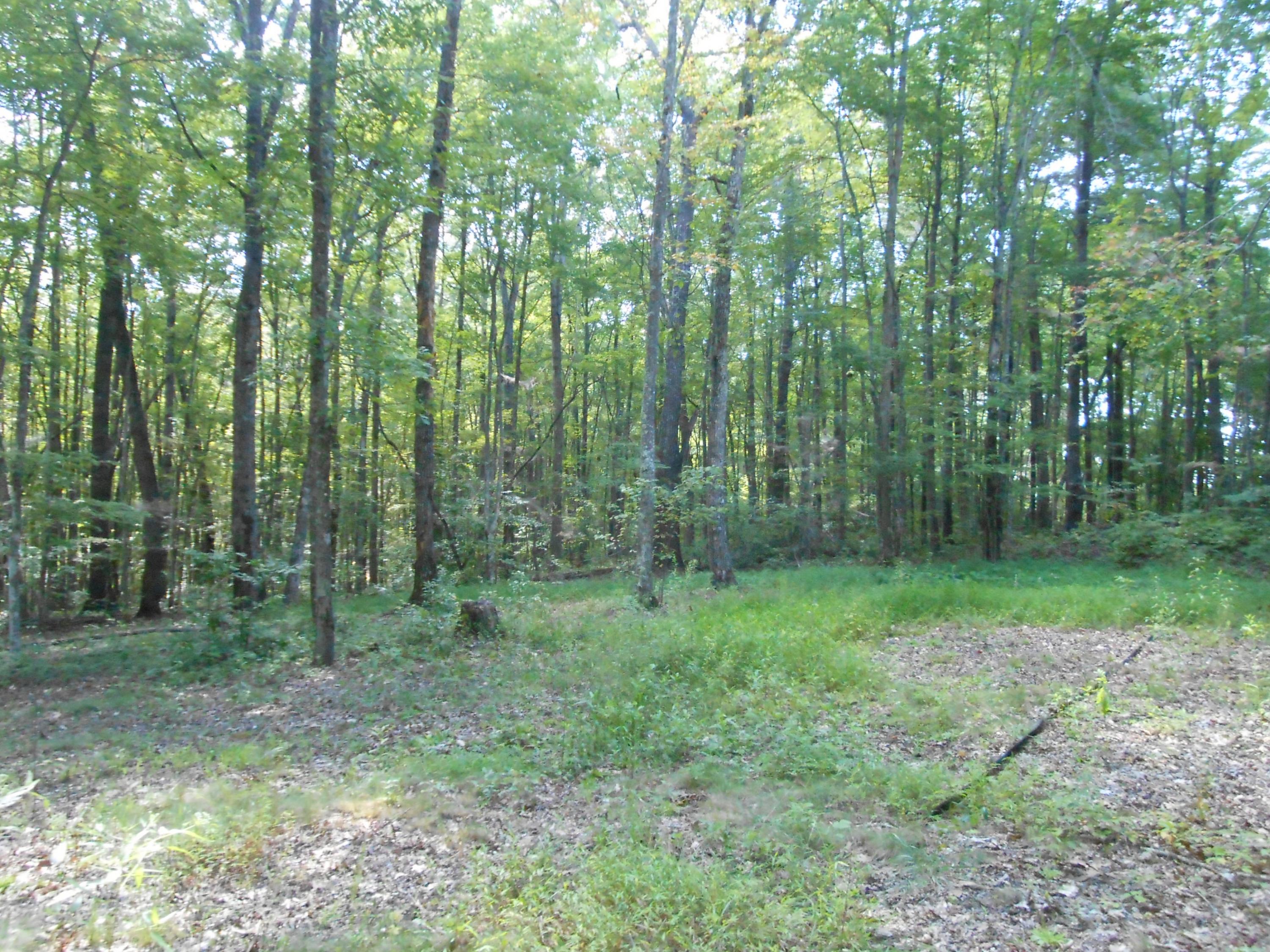 2-acres Copley Cemetery Road Jamestown, TN 38556 - Photo 19 of 40 DSCN9426