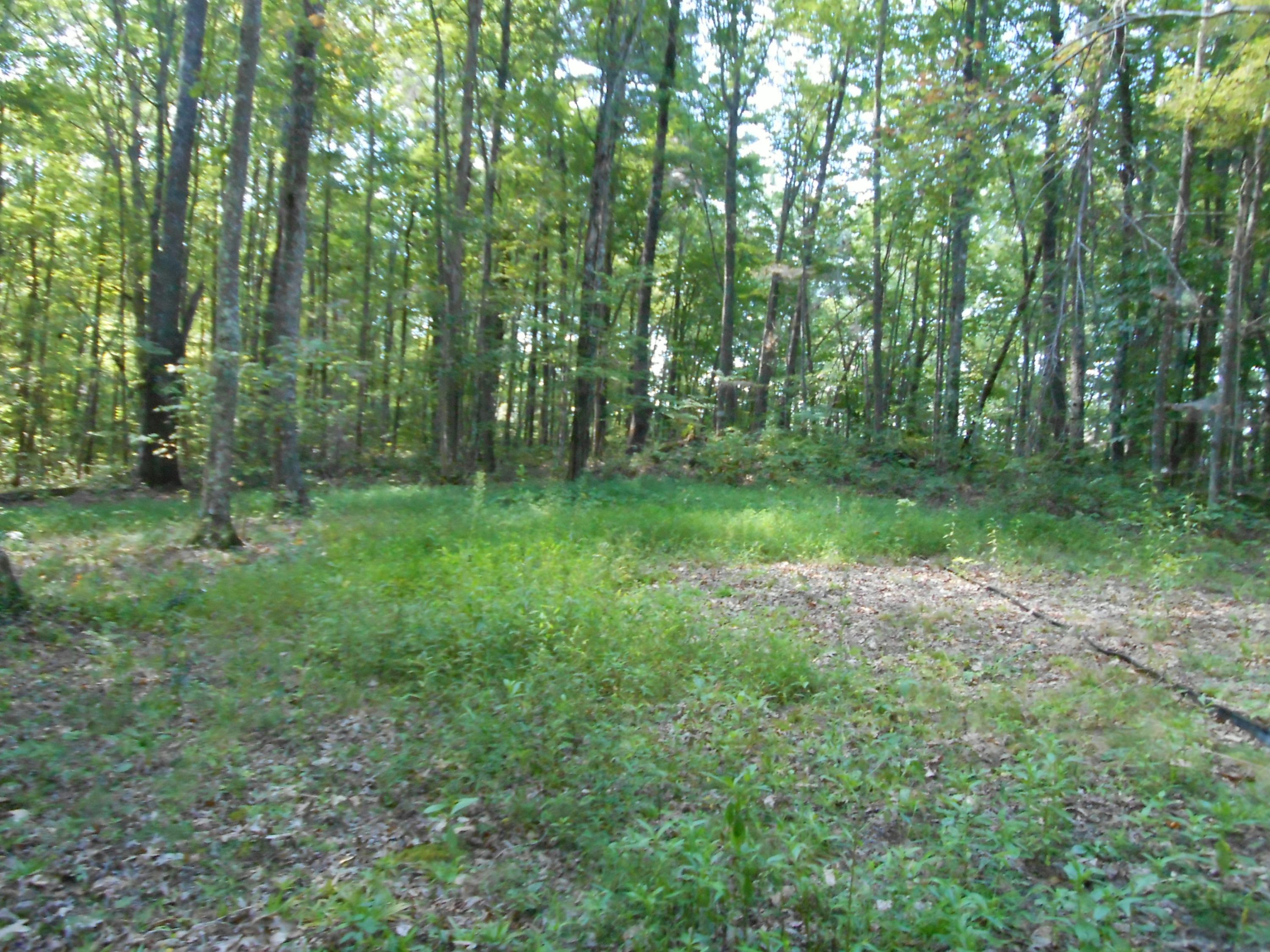 2-acres Copley Cemetery Road Jamestown, TN 38556 - Photo 21 of 40 DSCN9427