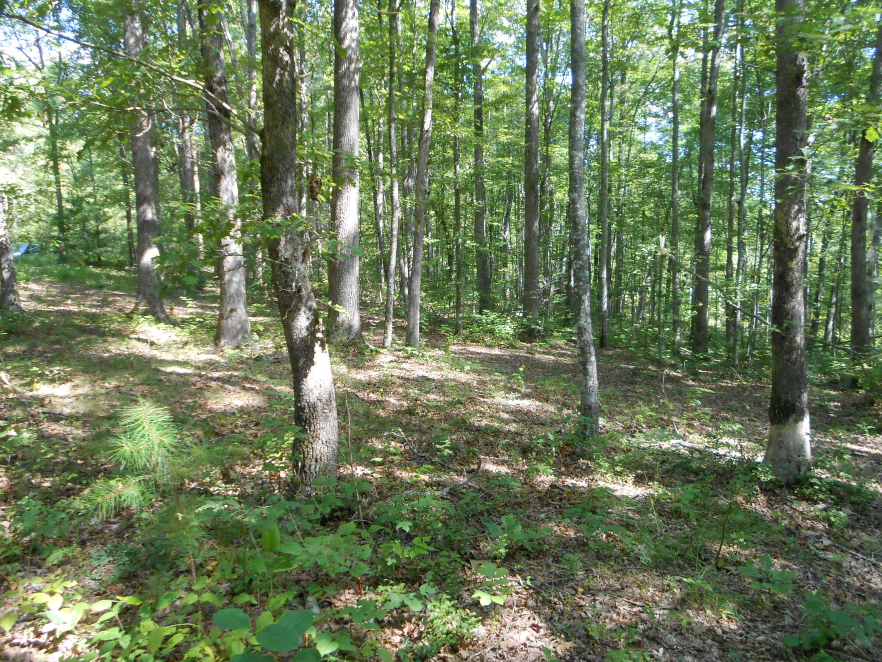 2-acres Copley Cemetery Road Jamestown, TN 38556 - Photo 22 of 40 DSCN9429