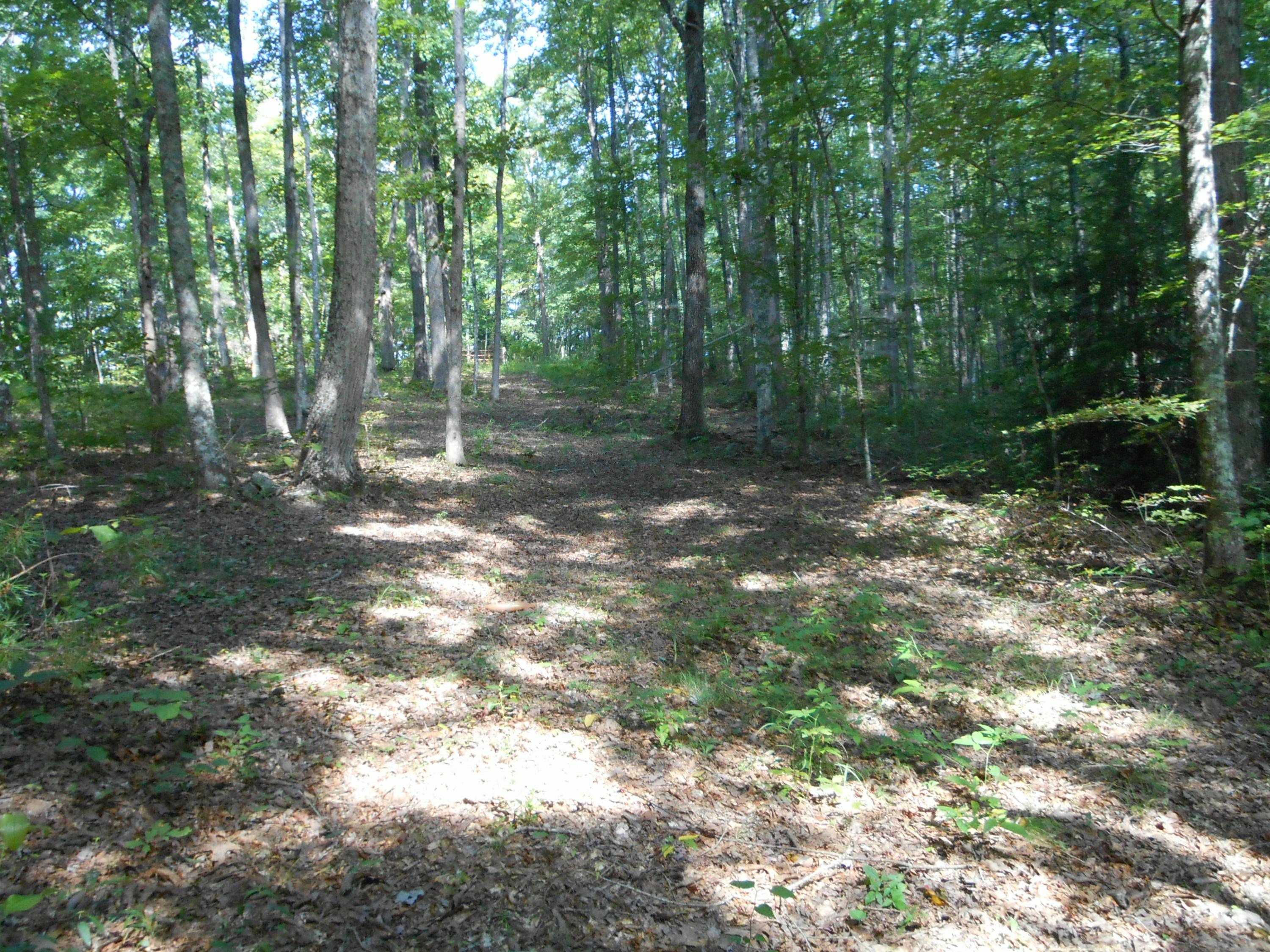 2-acres Copley Cemetery Road Jamestown, TN 38556 - Photo 28 of 40 DSCN9437