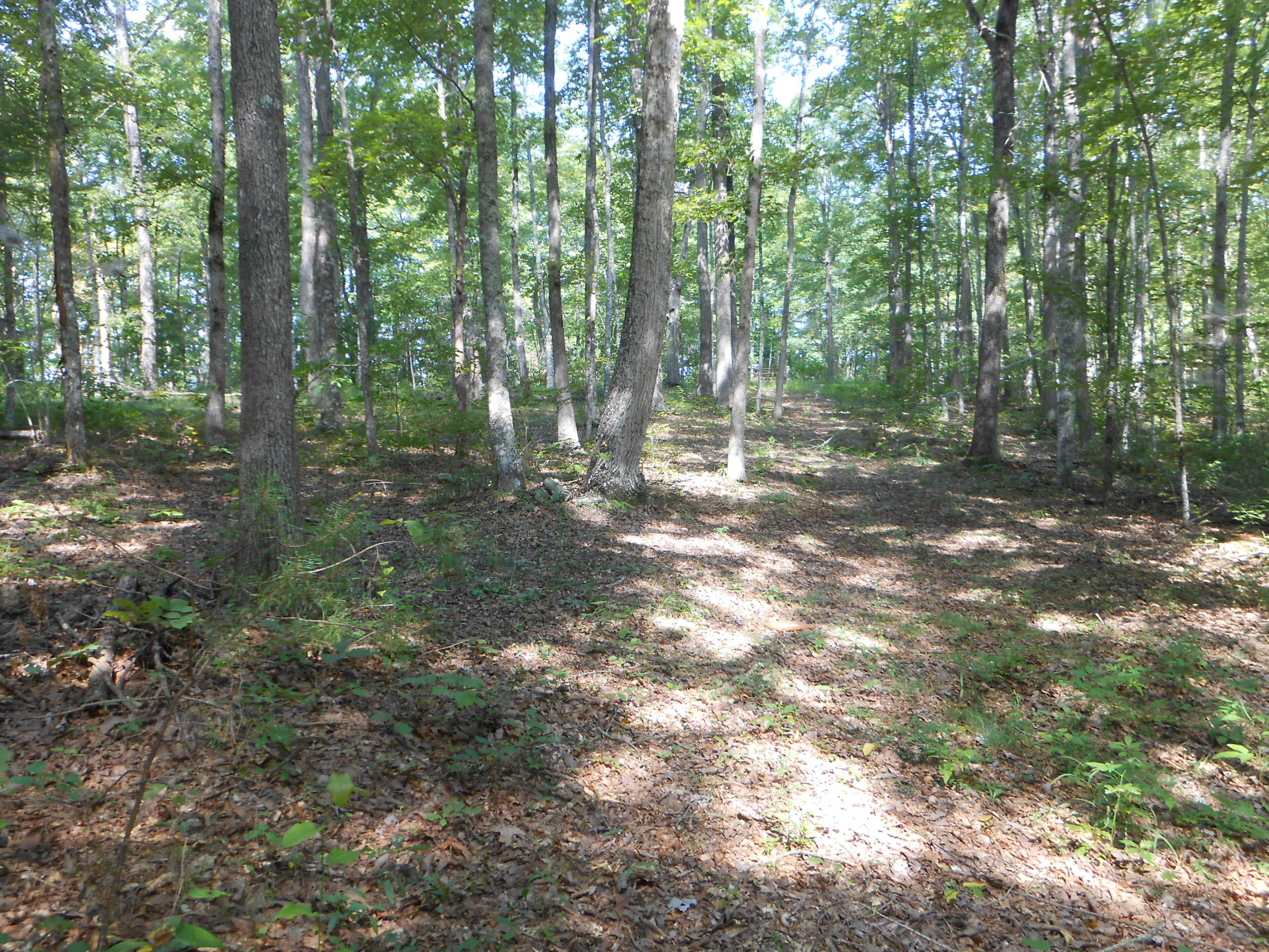 2-acres Copley Cemetery Road Jamestown, TN 38556 - Photo 29 of 40 DSCN9438