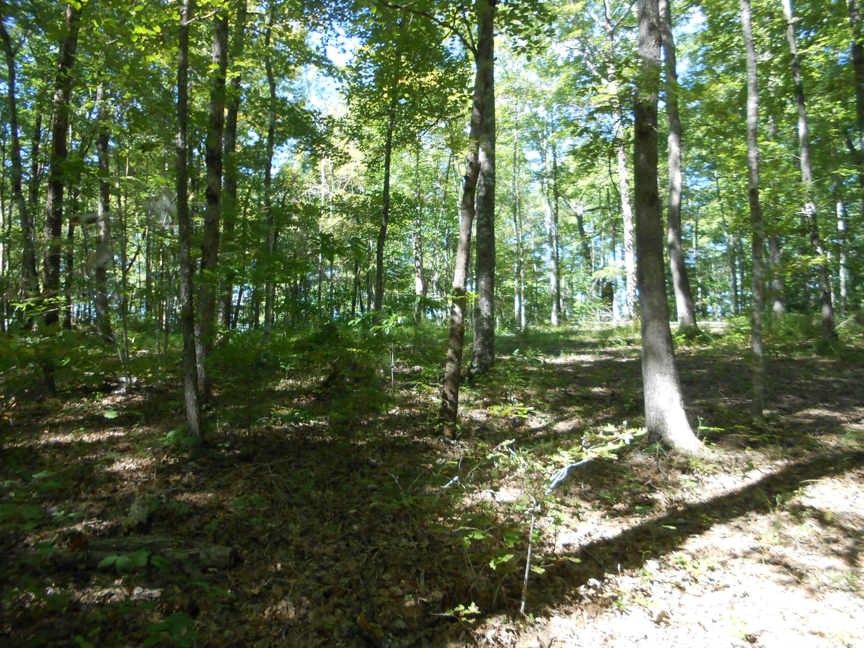 2-acres Copley Cemetery Road Jamestown, TN 38556 - Photo 32 of 40 DSCN9441