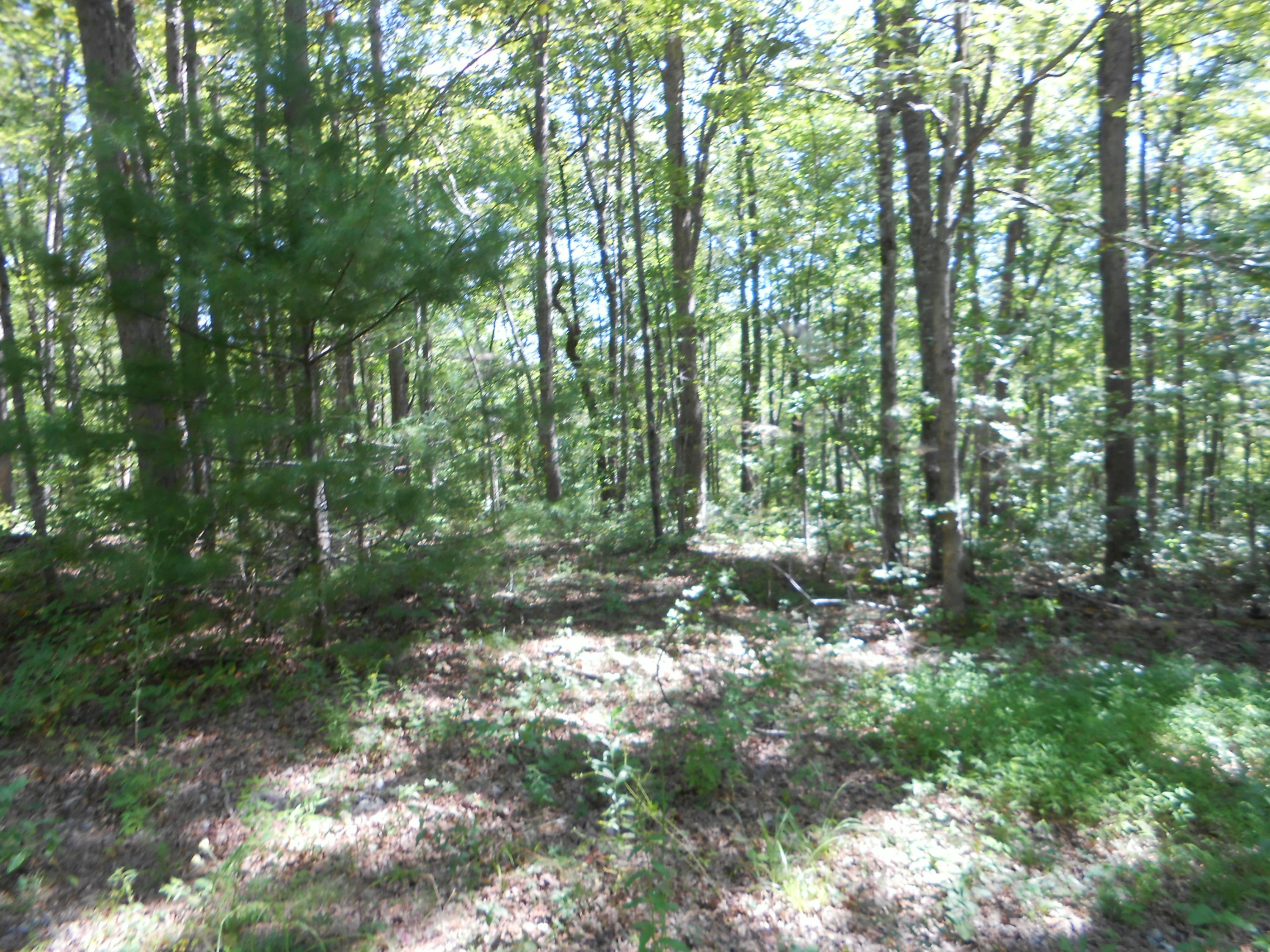 2-acres Copley Cemetery Road Jamestown, TN 38556 - Photo 40 of 40 DSCN9449