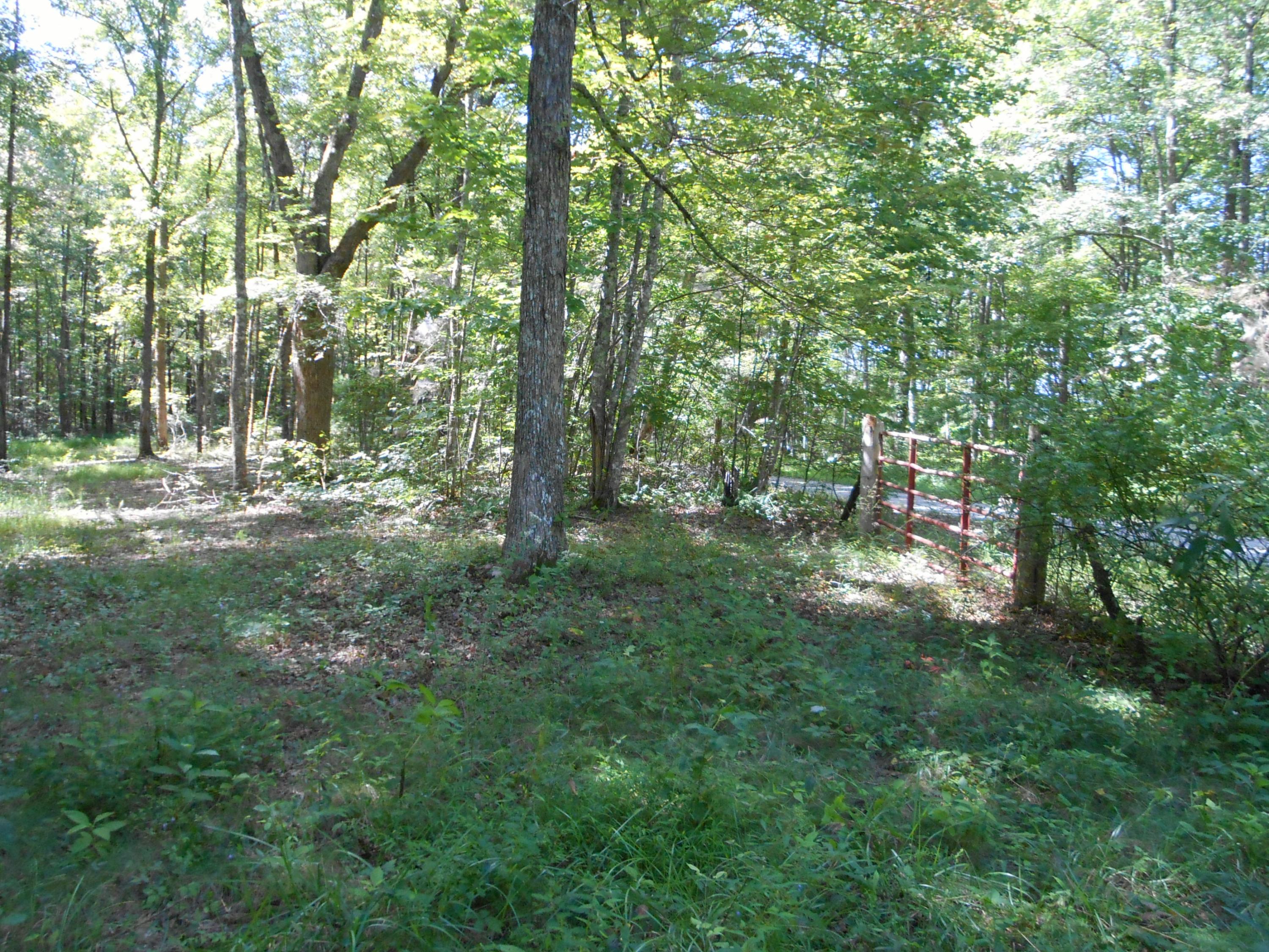 2-acres Copley Cemetery Road Jamestown, TN 38556 - Photo 9 of 40 DSCN9416