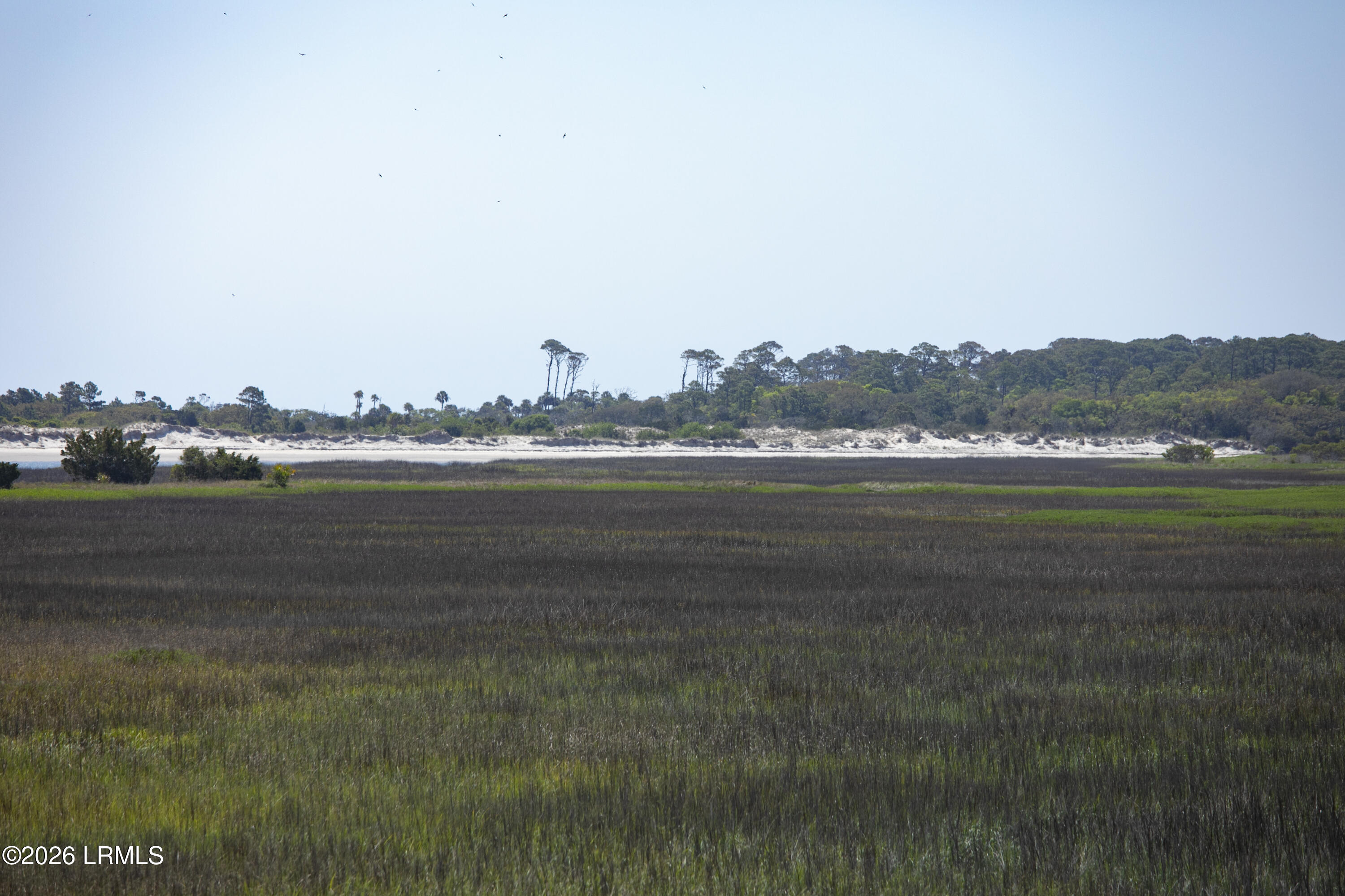 2 Cedar Reef, Unit A209 St. Helena Island, SC 29920 - Photo 28 of 43 CR-2311