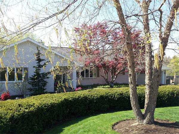 63 Kings Road Canton, MA 02021 - Photo 2 of 29 Gallery Image 2