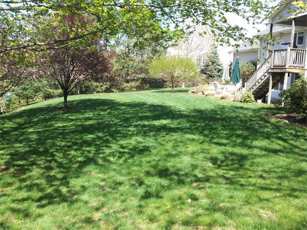 63 Kings Road Canton, MA 02021 - Photo 26 of 29 Gallery Image 26