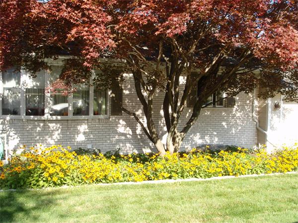 63 Kings Road Canton, MA 02021 - Photo 27 of 29 Gallery Image 27