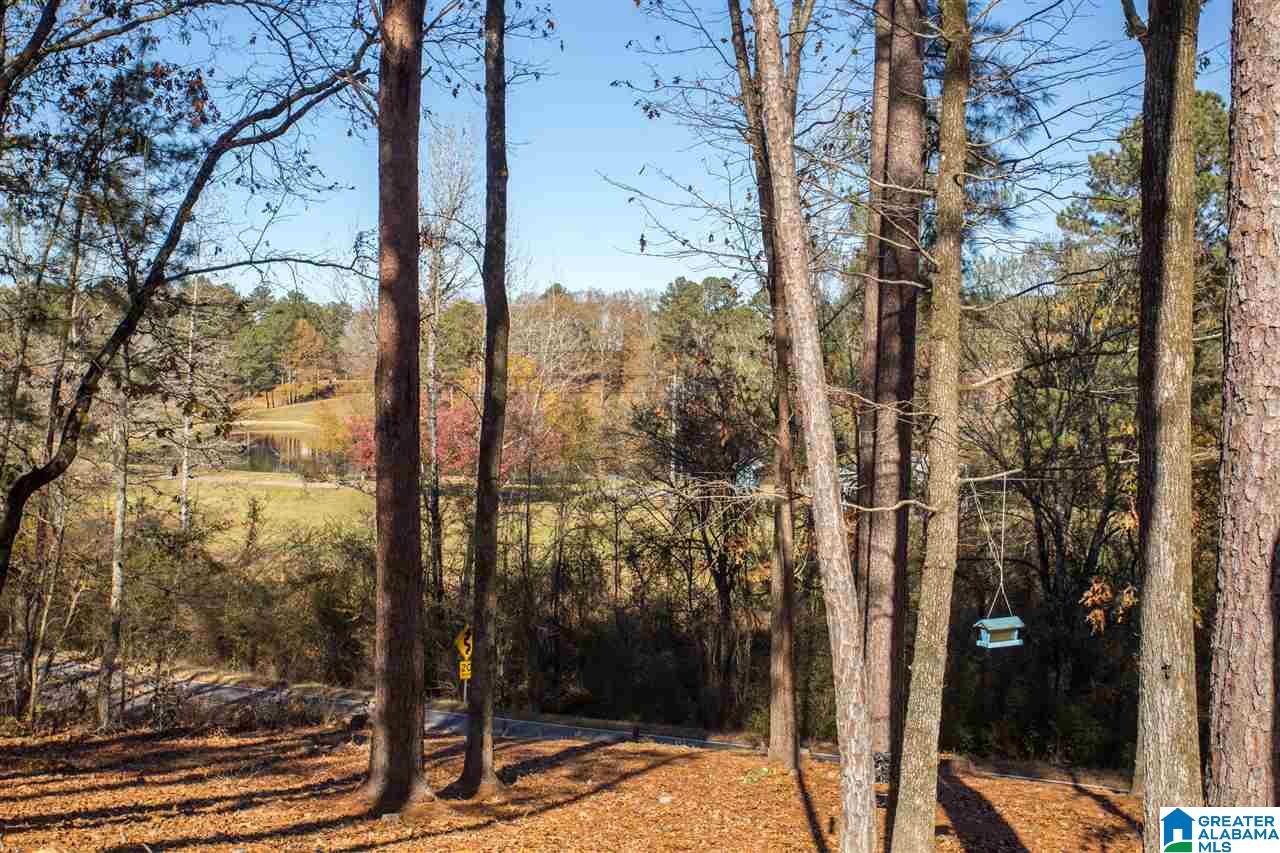 1069 Sedgefield Circle Morris, AL 35116 - Photo 41 of 45