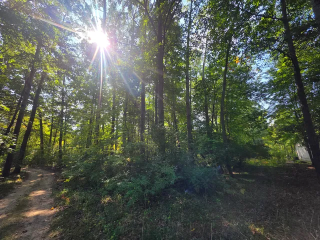 $43,000 | 336 Penny Lane, Stanton, MI 48888