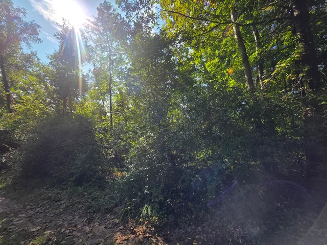 $43,000 | 336 Penny Lane, Stanton, MI 48888