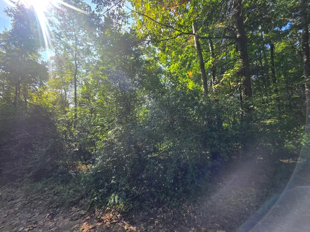 $43,000 | 336 Penny Lane, Stanton, MI 48888