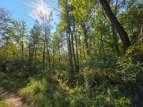 $37,000 | 336 Penny Lane, Stanton, MI 48888