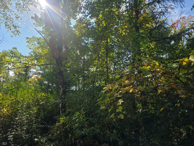 $43,000 | 336 Penny Lane, Stanton, MI 48888