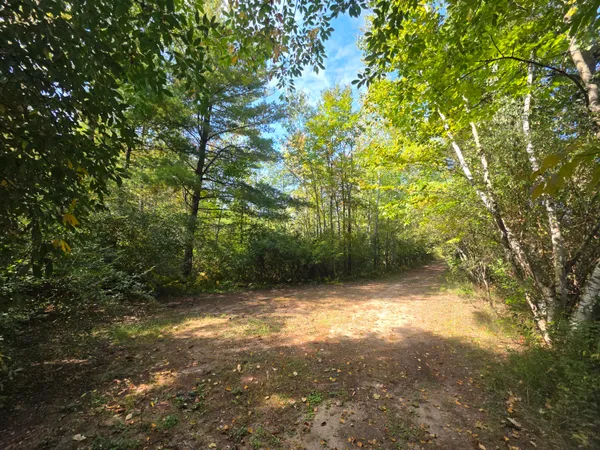 $37,000 | 336 Penny Lane, Stanton, MI 48888