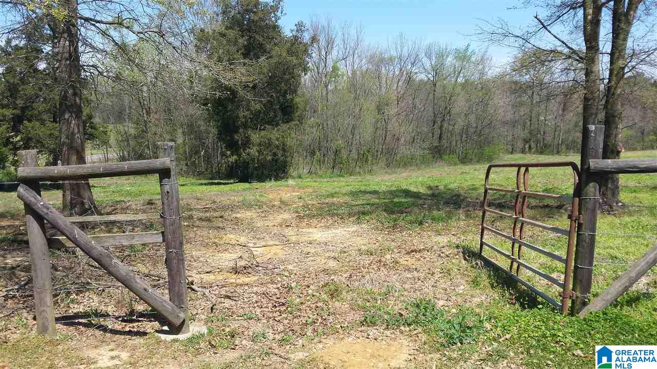 Double Bridge Road, Unit 16 Steele, AL 35987 - Photo 37 of 44